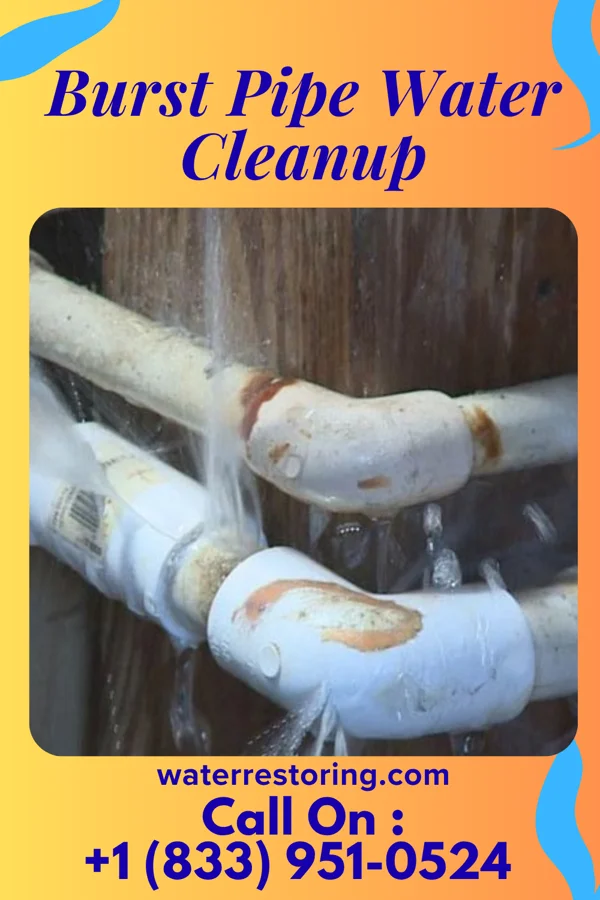 Burst Pipe Water Cleanup in Alderton, WA