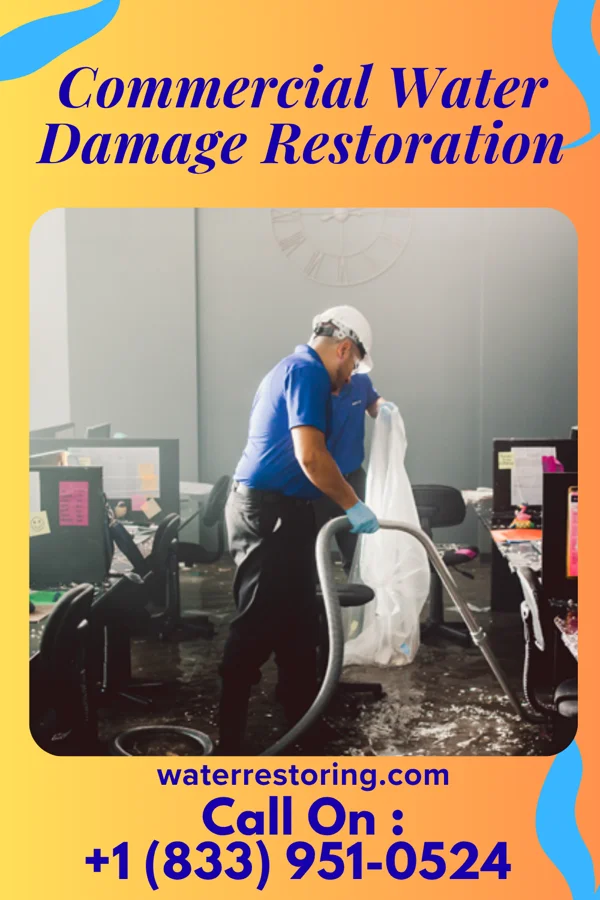 Commercial Water Damage Restoration in Alderton, WA